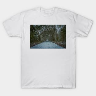 January Snow Day T-Shirt